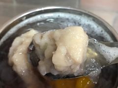 芋头泥-爱啊石花膏