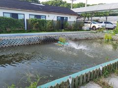 -美家乐农庄·露营·团建(大治路店)