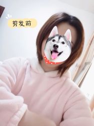 -CE·专业蛋白•羽毛接发·潮色烫染品牌店