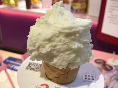 -野人先生现做冰淇淋(北京环宇荟店)