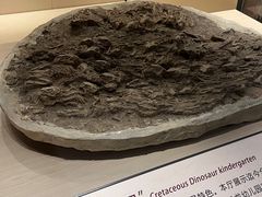 -辽宁古生物博物馆