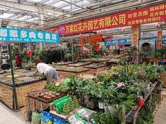 -李村大集
