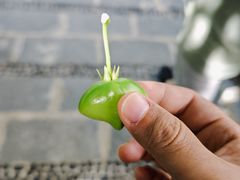 -黄记玉米汁(叠翠路店)