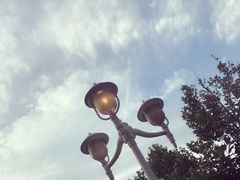 -北京张裕爱斐堡酒庄