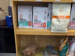 -四月宠物医院·猫专科·心脏专科·内科(转塘店)