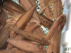 -辉记虾塘海鲜农庄