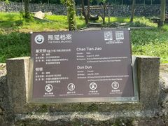 -都江堰中华大熊猫苑