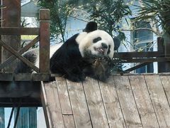 -临沂动植物园