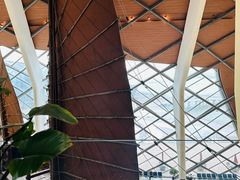 -贝林大翅鲸简餐厅(国家海洋博物馆店)