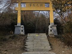-南京老山国家森林公园