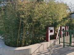 -东升文体公园