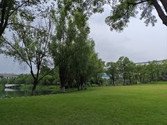 -洋湖国家湿地公园