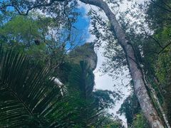 -七仙岭温泉国家森林公园