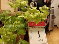 -古耳咖啡(北锣店)