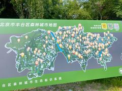 -绿堤公园