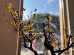 -无锡梅园公园