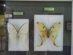 -上海昆虫博物馆