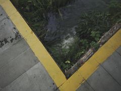 -龙头寺公园