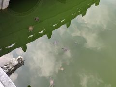 -太平禅寺