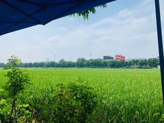 -崖口云吞(中堡店)