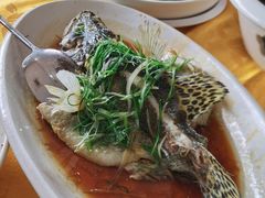 -安记烧鹅(新桥店)