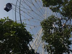 -花博汇(知音花月夜)