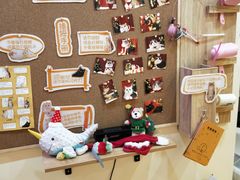 -滚猫咖啡·猫咖·猫友好撸猫(未来城店)