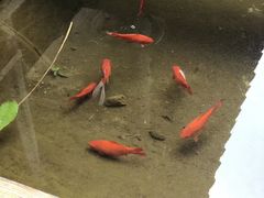 -膳和缘炒鸡店(南门路店)