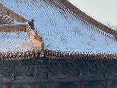 -北陵公园