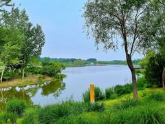 -东郊湿地公园