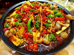 火爆仔姜鱼肚-成都吃客(九眼桥店)