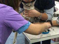 -伟伟宠物医院·CT影像中心·瑞派犬猫综合性门诊(汉口总院)