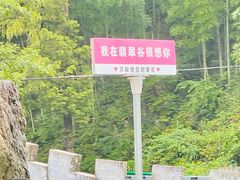 -黄山翡翠谷景区