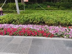 -新江湾城公园