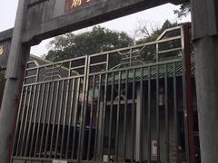 -长洲岛