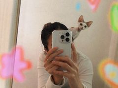 -山宅一喵德文卷毛猫舍
