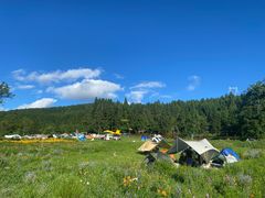 -武陵山森林公园