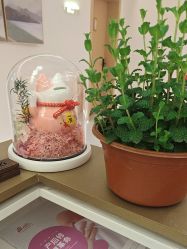 -Dr.林醫生产后修复·超级店(南京江宁同曦店)