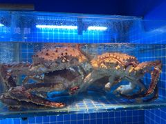 -鸽子侯·家宴·平价海鲜(市图书馆店)