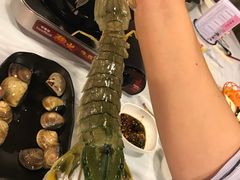 -鲜入围煮花胶鸡海鲜火锅