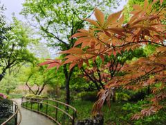 -中国茶叶博物馆(双峰馆区)