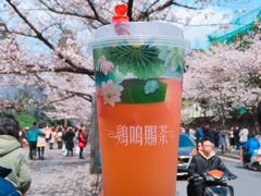 -鸡鸣赐茶(鸡鸣寺路店)