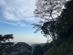 -黄埔油麻山森林公园