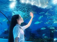 -合肥海洋世界