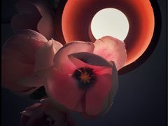 -花木兰·咖啡·茶铺