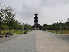 -泗洪洪泽湖湿地景区