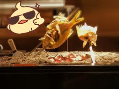 -鸟山鸣·日料食堂(王府井店)