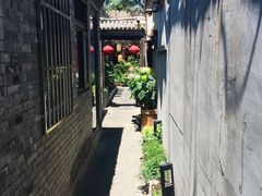 -四喜小胖·北京涮肉(五道营店)