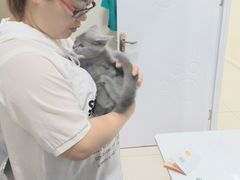 -子乐宠物医院