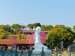 -仙岳公园
